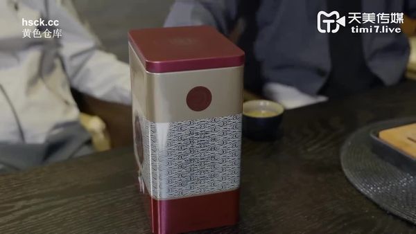 天美传媒TM0169淘宝美艳主播查税事件-夏宝