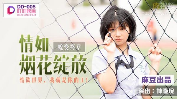 蜕变终章之情如烟花绽放 林晚琬